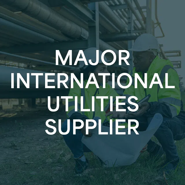 Major International Utilities Supplier Realising the Cloud Advantage