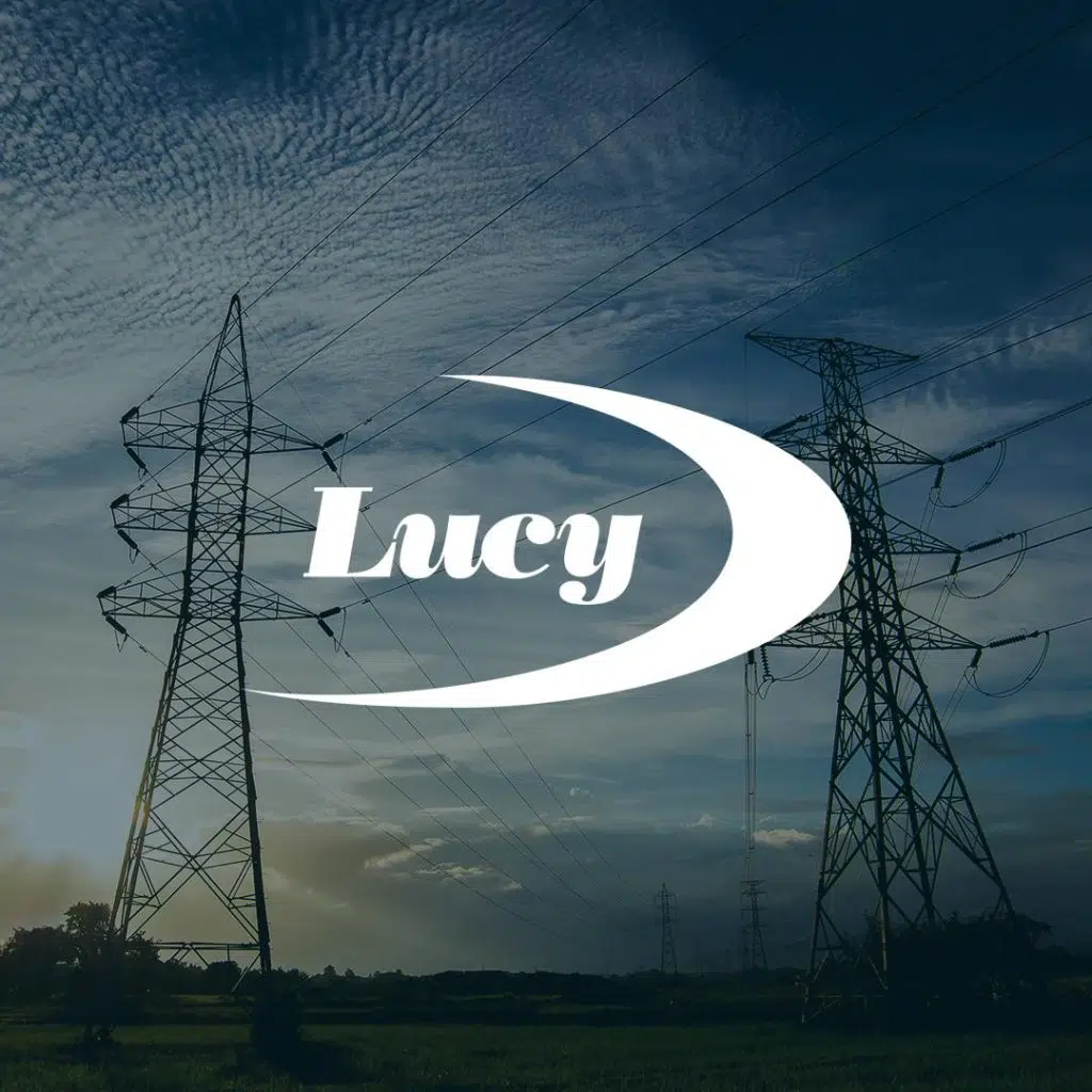 Lucy Group – Successful Implementation of Oracle HCM Cloud