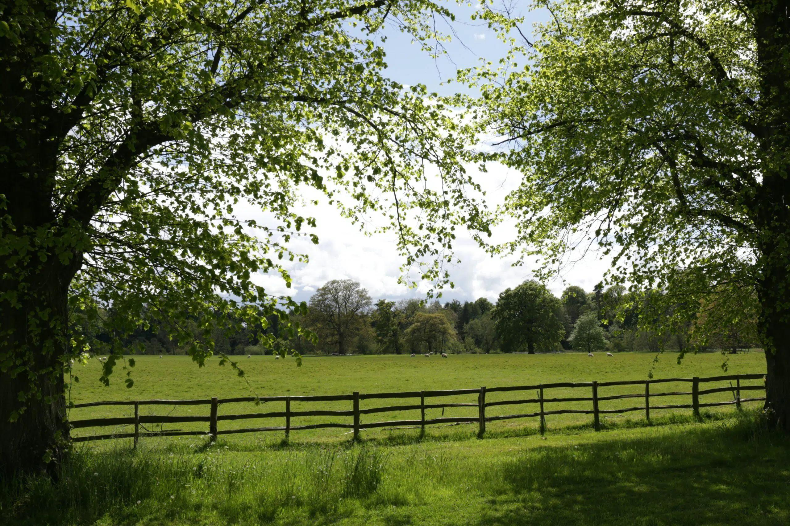 countryside view
