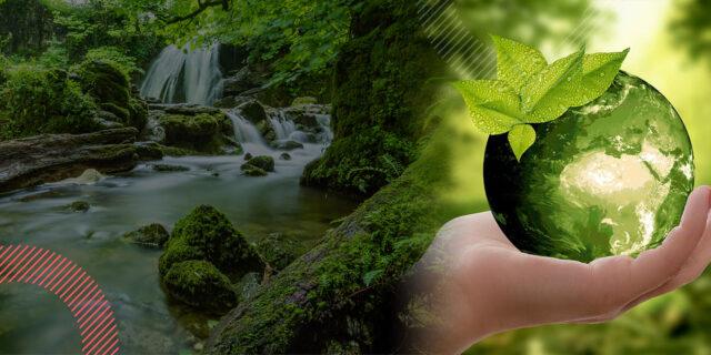 digital image of green garden and globe apple in hand