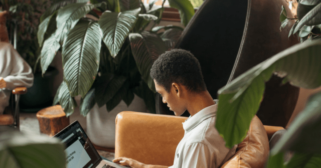 Person on a sofa on their laptop