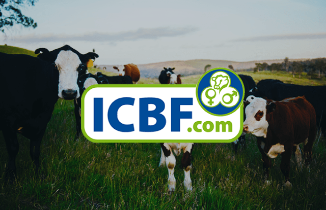 ICBF logo with image of a field of cows