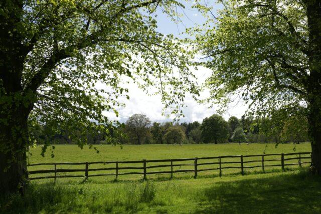 countryside view