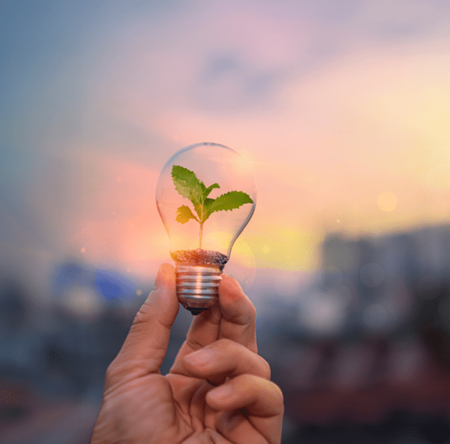 hand holding light bulb with a sapling inside