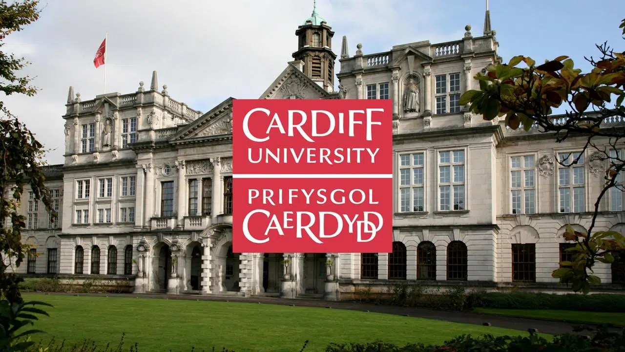 Cardiff University Assessment