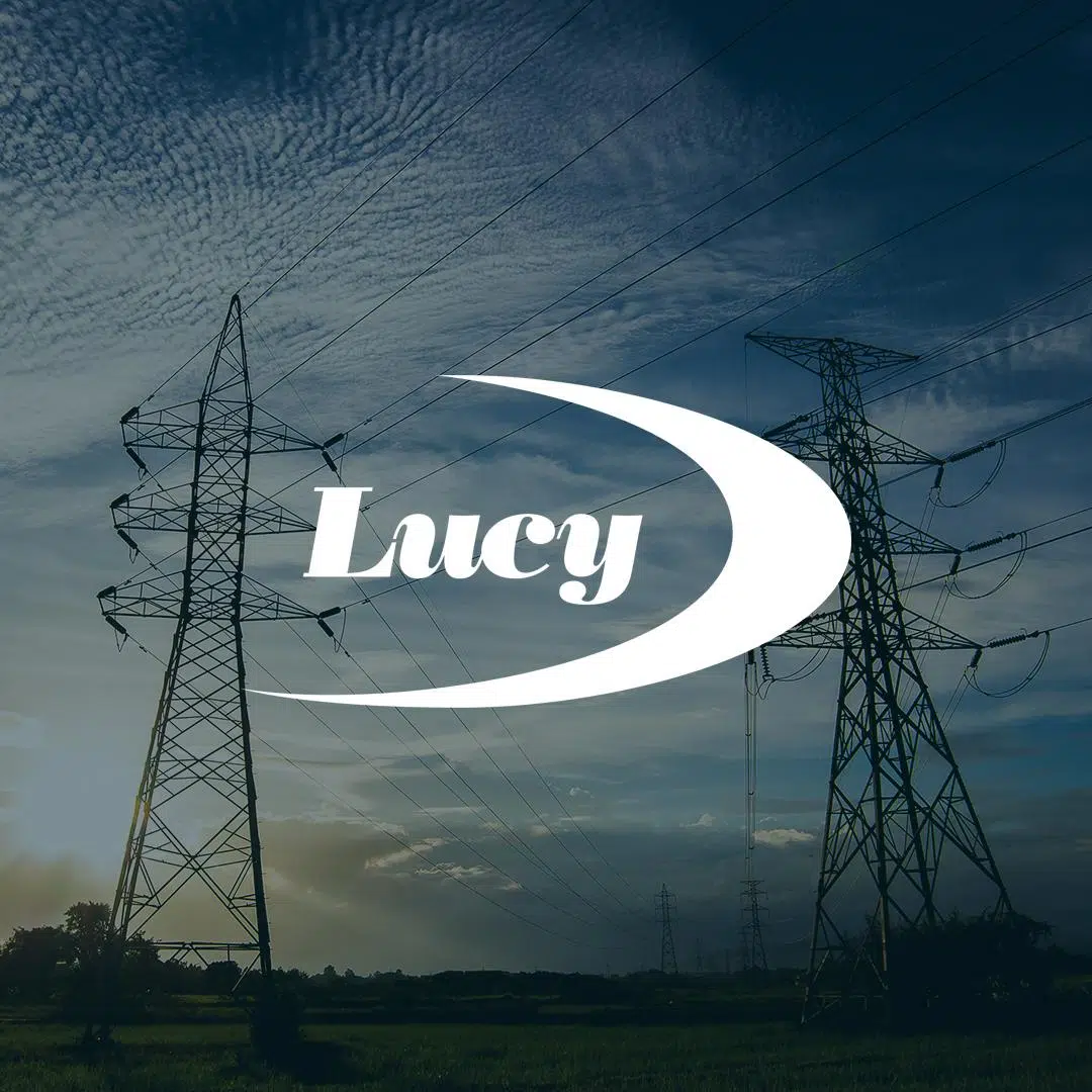 Lucy Group – Successful Implementation of Oracle HCM Cloud