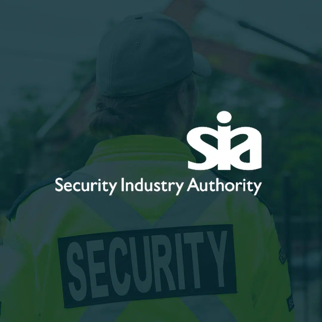 Supporting the SIA on Major Digital Services Contract