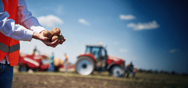 A person in a high-visibility vest holds freshly harvested potatoes in a field, with agricultural machinery and a tractor blurred in the background under a blue sky.